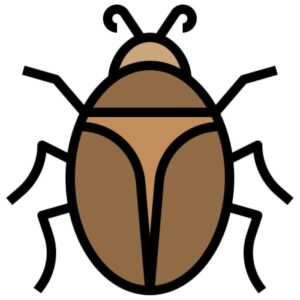 Brązowe robaki w domu - jak je rozpoznać i wytępić?