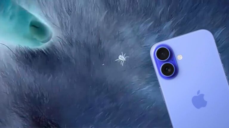 Как найти клеща на собаке с помощью iPhone и цветовых фильтров в «Лупе»