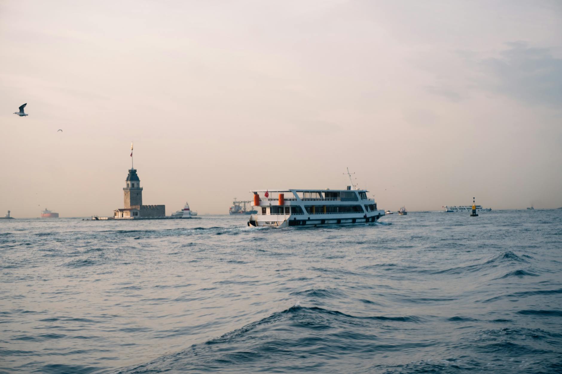 CleanWhale i pranie tapicerki meblowej – efektywne