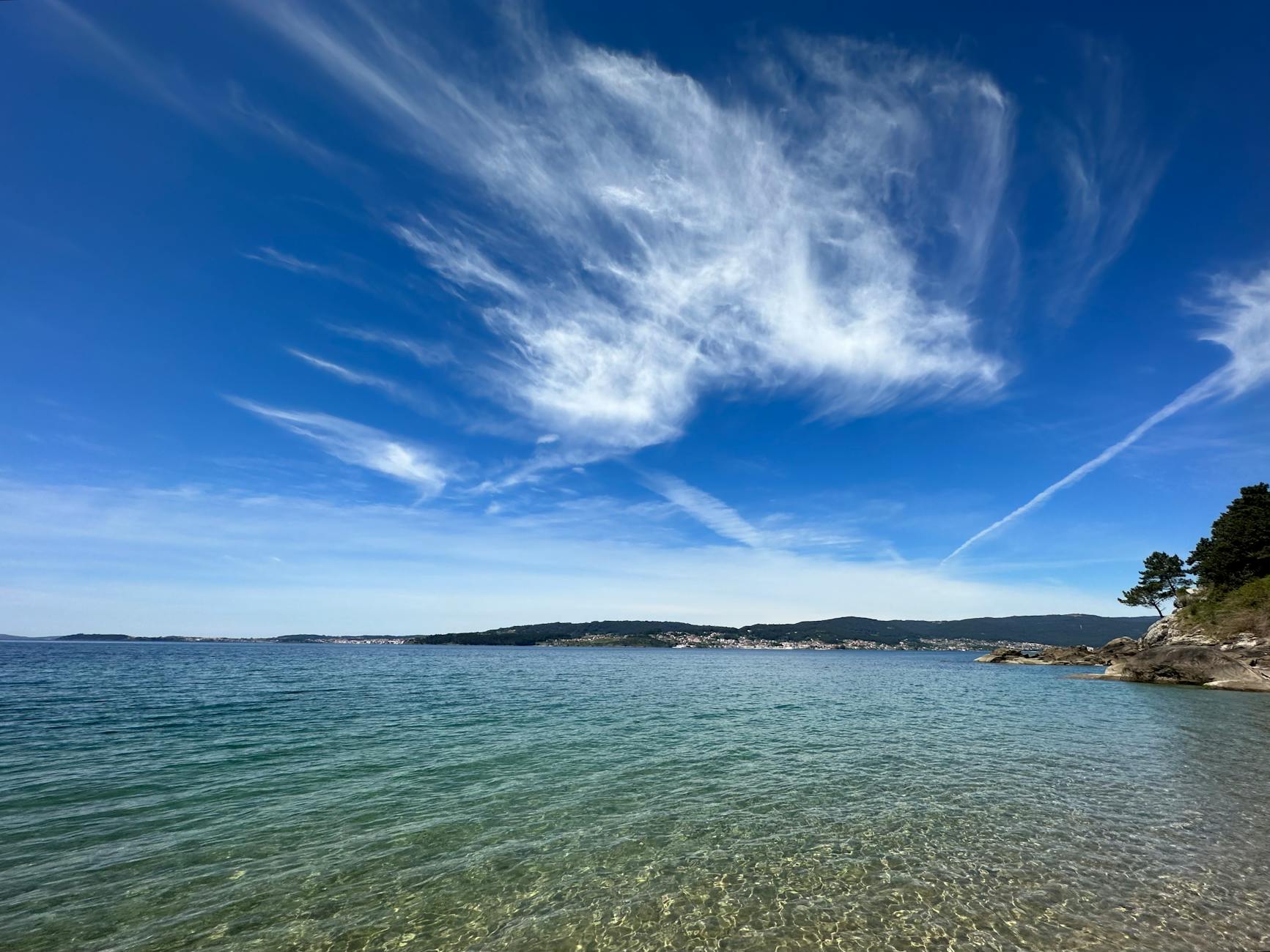 Przeraża Cię pranie dywanu? Sprawdź nasz poradnik 