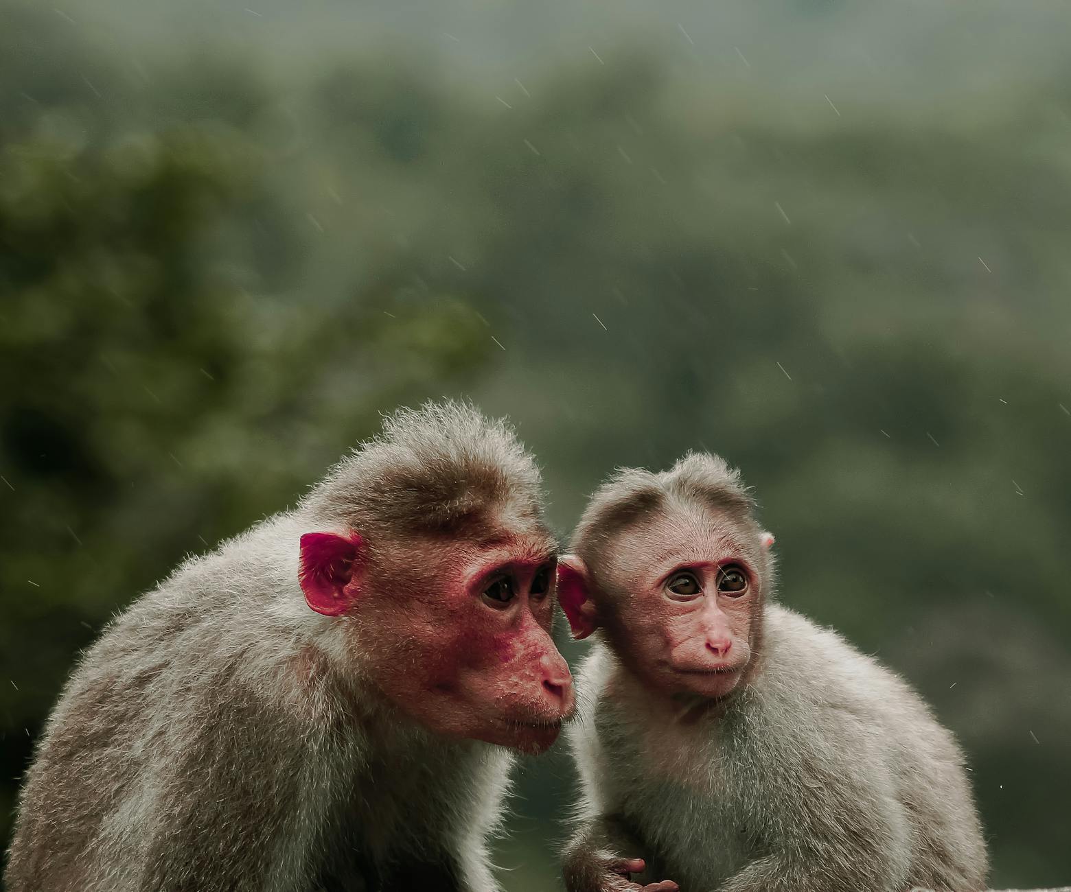 Spacerowa Warszawa: twój kompletny przewodnik po i