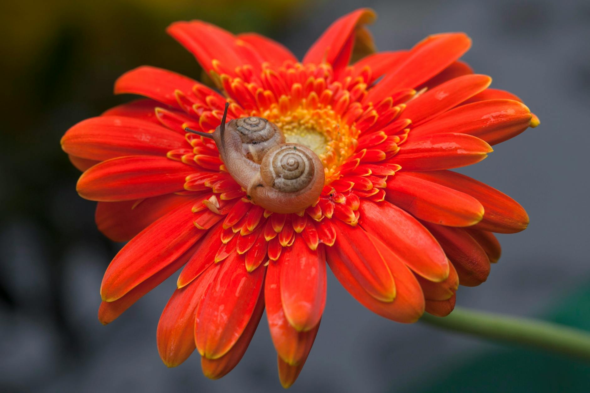 Transitioning to slow fashion: your guide to an ec